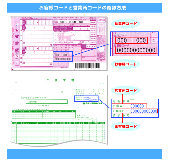 qlR[hƉcƏR[h